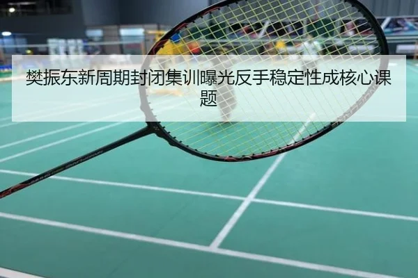 樊振东新周期封闭集训曝光反手稳定性成核心课题